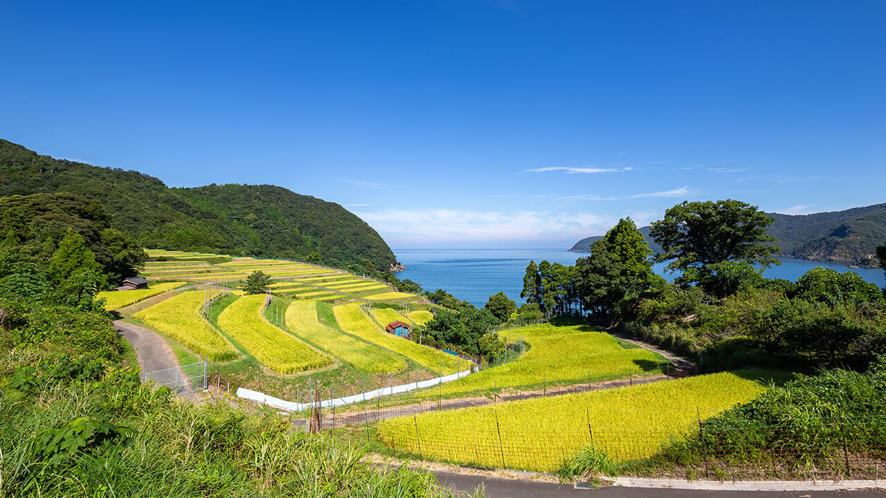 福井県の食材を日本全国の飲食店へ売り込むには